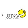 Logo TKKF Wars
